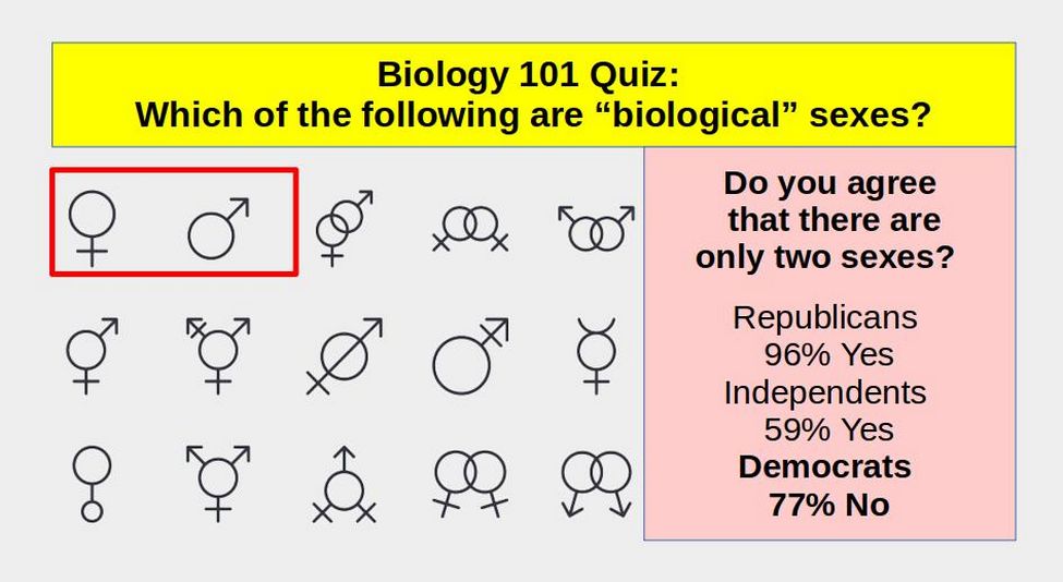 Why Biological Sex is not a Continuum